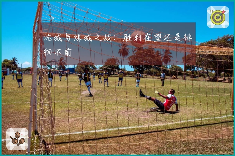 沈城与煤城之战:胜利在望还是徘徊不前