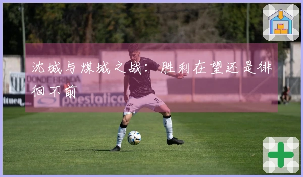 沈城与煤城之战：胜利在望还是徘徊不前